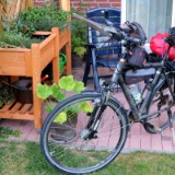 1908F 001 Start 6 Uhr 15 am Hochbeet